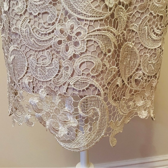 Francesca’s Lace Overlay Mini Dress – Silver/White, Elegant, Size Medium - Picture 12 of 13